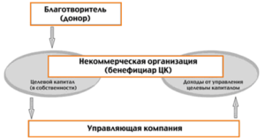 Цели создания целевого капитала нко. Автономные некоммерческие организации капитал. Целевой капитал некоммерческой организации картинки. Модель формирования НКО специализированными организациями. Целевой капитал управляющая компания доход рисунок.