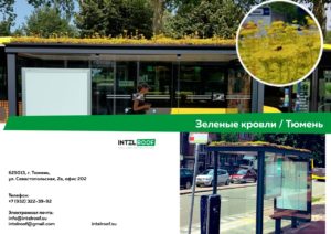 Будут ли в Тюмени цвести сады на крышах домов? Ответ тюменских общественников – да!